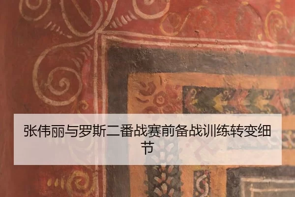 zhang-wei-li-yu-luo-si-er-fan-zhan-sai-qian-bei-zhan-xun-lian-zhuan-bian-xi-jie-1-451.jpg